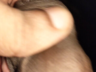 My Boss wife sherya taking my black cock deepthroat