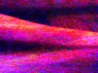 Sex in the Dark