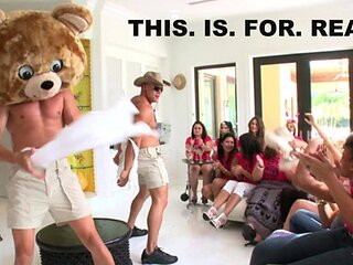 Dancing Bear - dancing bear movie