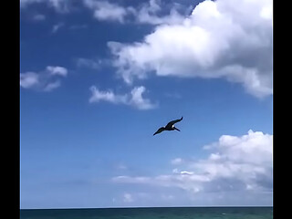 BEACH DAY