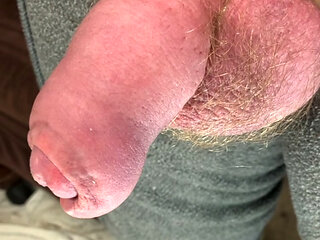 Up close cock and balls.  Uncut veiny dick.