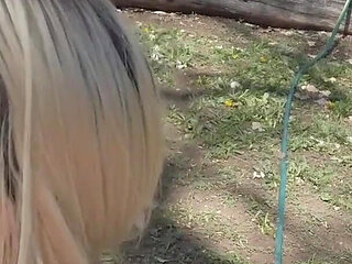 Blowing the Handyman