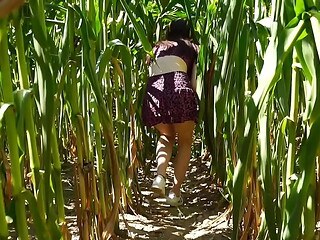 Horny BLOWJOB in a corn field