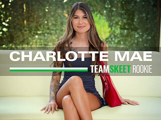 Gi Joey Fucks An Anonymous Art-Loving Babe Senseless