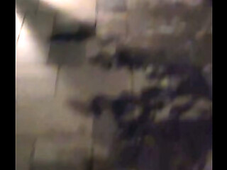 Shemale Ting Xuan masturbates in the outdoor toilet.