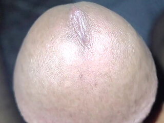 Cut Muslim Dick (Lund)