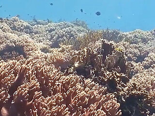 Backstage - Lisi Parisi