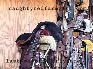 Redhead Fucks Herself Like Crazy All Over the Farm
