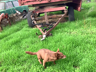 Walking naked in the nature