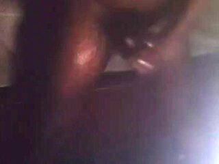 Black Cock Self Play