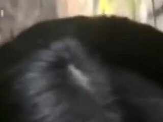 Sex on One of the Busiest Avenues in Sao Paulo