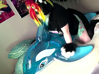 fat furry humps his new shiny pool toy