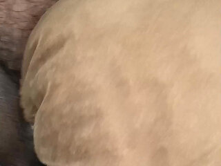 I'm So Horny I Can't Stop Fucking My Pillow - Jay Rider Exclusive