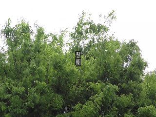 A082G04 The wife next door who passed by made a mistake in the room...! with too much momentum! Morning SEX the next morning!