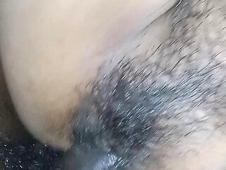 Rasili chut