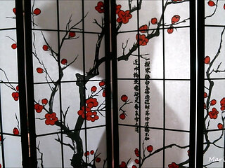 Silhouette Tease / Ball Domination