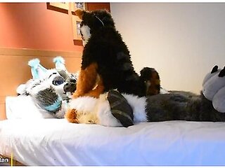 Murrsuit Wild Sex - Pilot Video - Maho & Xytan