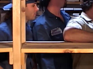 Multiple Cocks to Suck