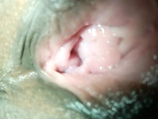 Megasexx