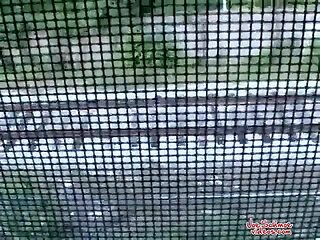 Servicing Straight Dude Jason