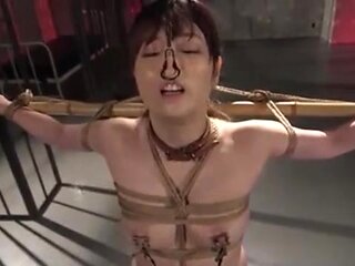 06043,A woman who screams in agony