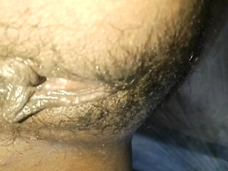 Wet Pussy