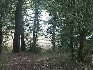 Exhibition au camping