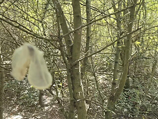 Jerkoff outdoor in the woods wathcing old porno magasin trough a lot of used condoms full with sperm.
