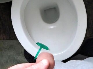 Pissing In The Toilet Compilation