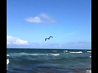 PELICAN DIVING INTO OCEAN