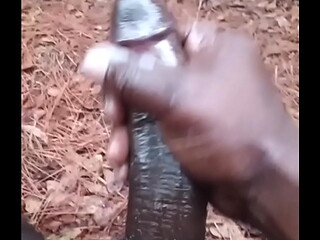 New Years Return Nut