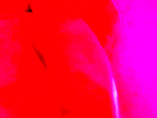 Red Golden Perish Golden Sperm Shot