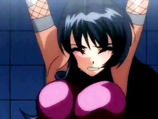 Hentais, hentai, anime