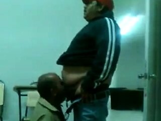 Fat Daddy Bear Sucks Chub