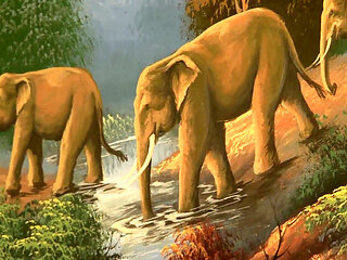 Sexy cheerleader gets her pussy licked and drilled by black guy