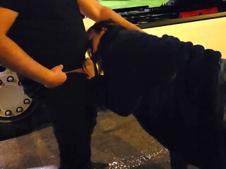 I fuck with a truck driver on a motorway rest area