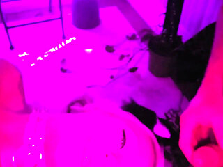 Pretty Party Smokey Kitty