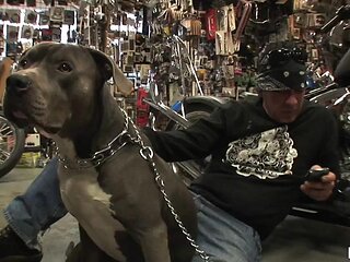 Alexis grace: Blowjob, Licking  Babe Porn