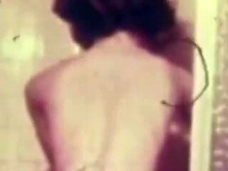 Vulgar Capricious Pig