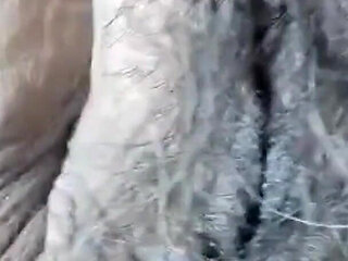 I Had an Orgasm From Giving My Pussy a Good Fingering & Using My Very Old Dildo.