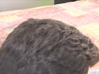 Vulgar Capricious Pig