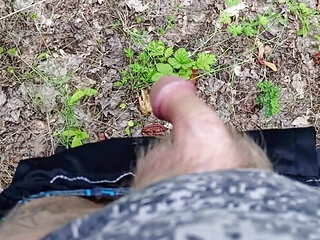 A Friend Sucks My Dick in a Park and Swallows Cum
