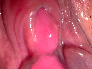 Amateur Pink Pussy: 187 days after losing her virginity.