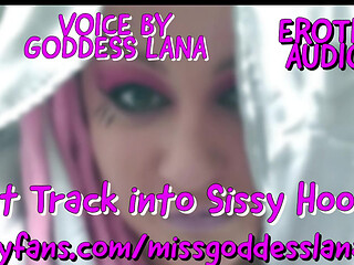 Fast Track Into Sissy Hood Audio Only