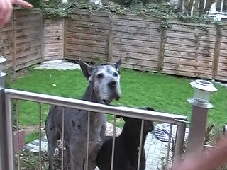 Dirty blonde German MILF gets assfucked before a facial