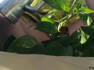 Madrasta regando as plantas toda pelada, na varanda para quem quiser ver - parte 02-