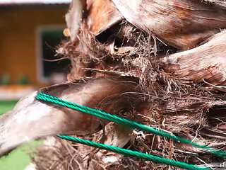 Wet And Sneaky Sapphire Astrea Brazzers