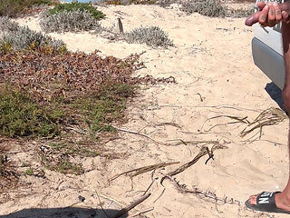 Arrived on the beach