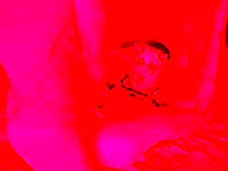 Video Blogger Spent the Night in a Cursed House with a Hot Devil