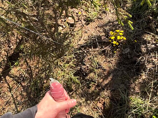 Jerk off in the forest